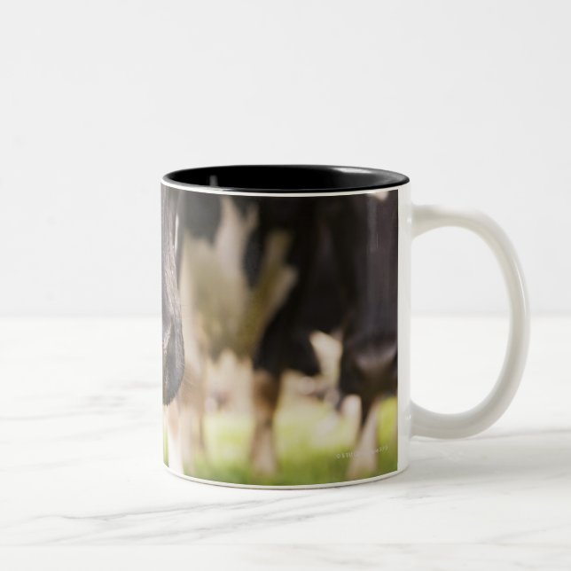 Kuhnase Zweifarbige Tasse (Rechts)