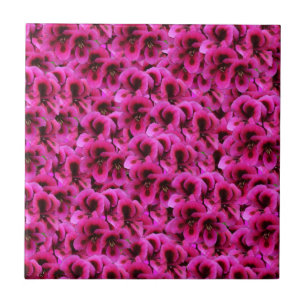"Kühne Schönheit: Straffe Magenta-Geraniumblüten Fliese