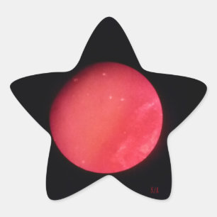 Kühnheit und Not Stern-Aufkleber