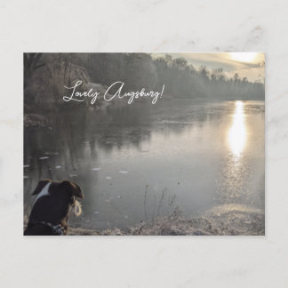 Kuhsee am Morgen mit Hund in Augsburg Postkarte
