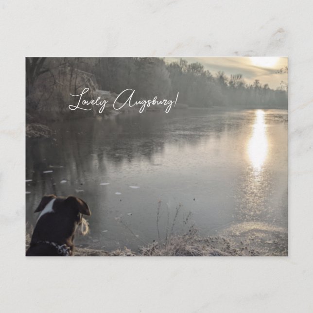 Kuhsee am Morgen mit Hund in Augsburg Postkarte (Vorderseite)