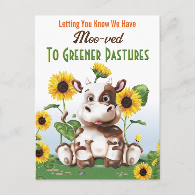 Kuhsonnenblume Änderung der Anschrift Postkarte (Vorderseite)