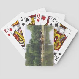 Kuhspielkarten Spielkarten