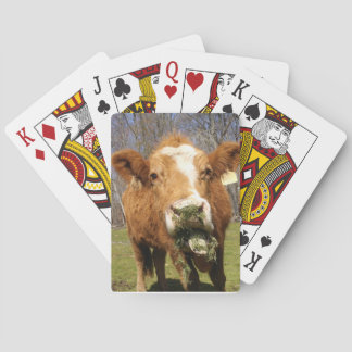 Kuhspielkarten Spielkarten