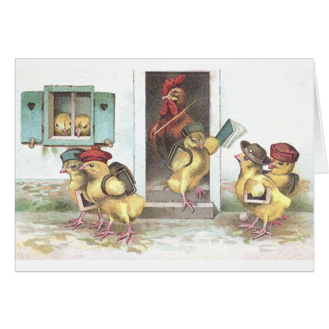 Küken am Schul-und Hahn-Lehrer (Vorderseite (Horizontal))