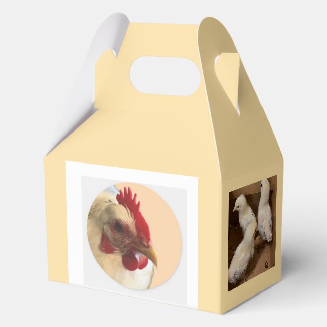 Küken Geschenkbox Geschenkschachtel (Rückseite)