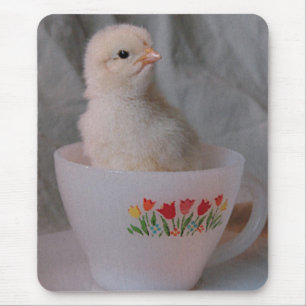 Küken in einer antiken Teetasse Mousepad