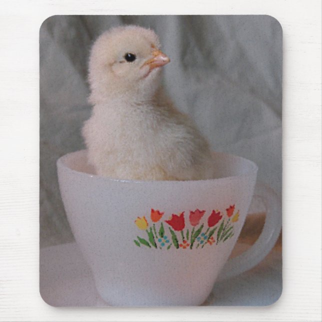 Küken in einer antiken Teetasse Mousepad (Vorne)