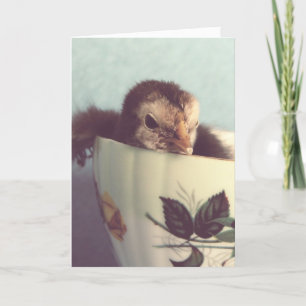 Küken in einer antiken Teetasse Osterkarte Feiertagskarte