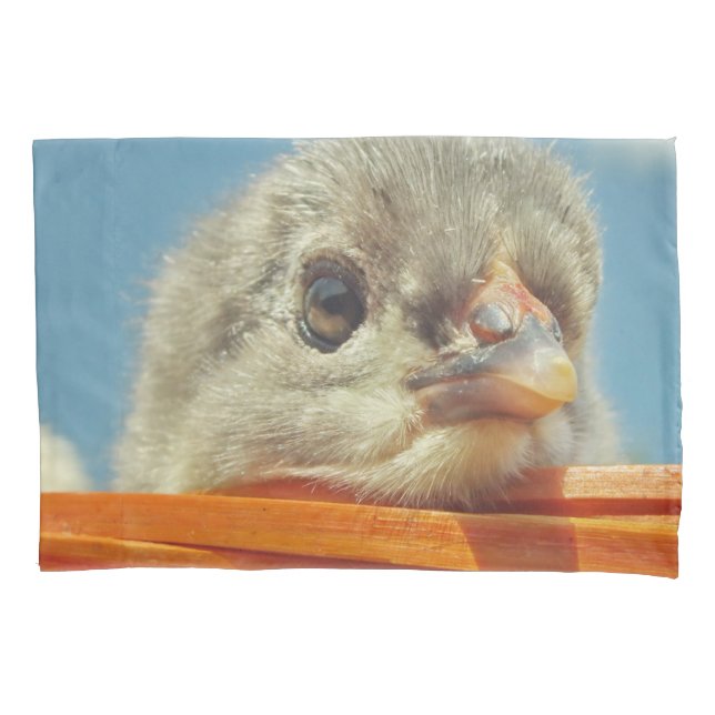 Küken Kissenbezug (Vorderseite)