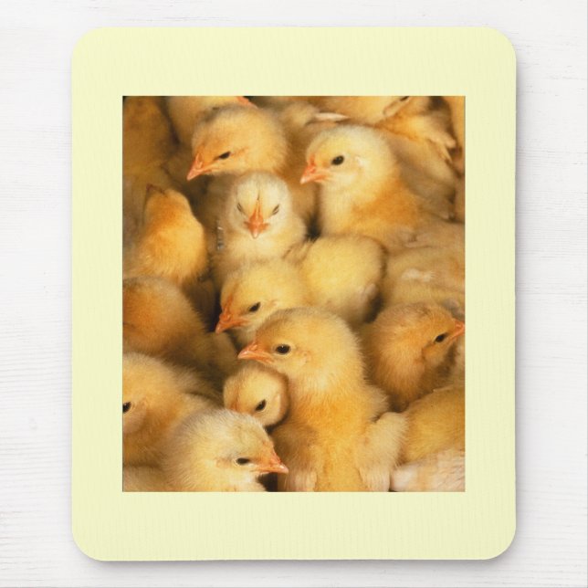 Küken Mousepad (Vorne)