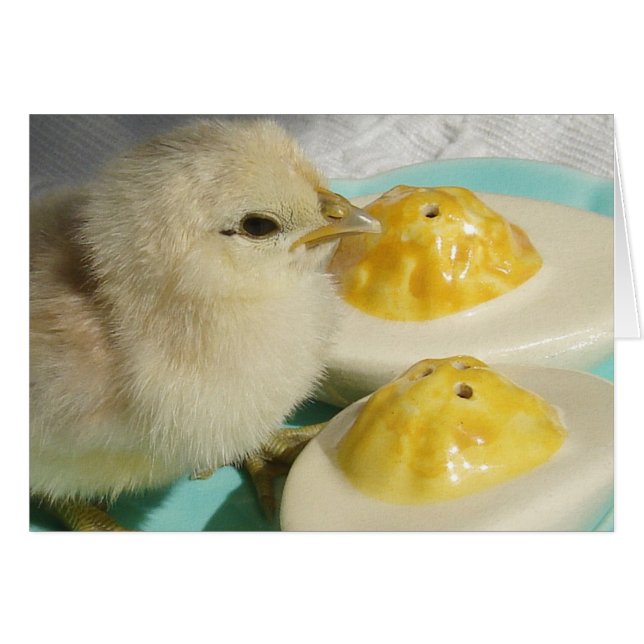 Küken und ausgewachsene Eier 2 (Vorderseite (Horizontal))