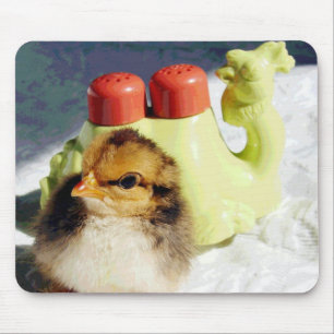 Küken und Kamel Mousepad
