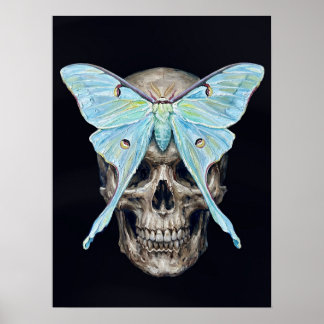 kull und Luna Moth — Memento Mori Impasto Poster