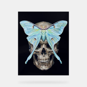 kull und Luna Moth — Memento Mori Impasto Poster