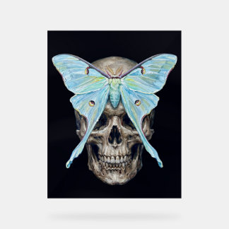 kull und Luna Moth — Memento Mori Impasto Poster