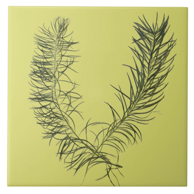 Kulturschatz des Sommers auf einer Keramik - B Fliese (Vorderseite)