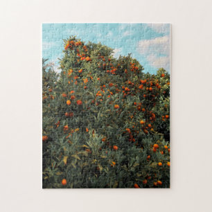 Kumquat-Baum Puzzle
