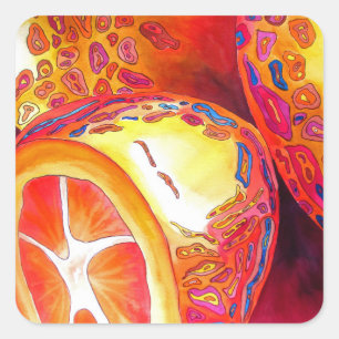 Kumquats-Zitrusfrüchte Quadratischer Aufkleber