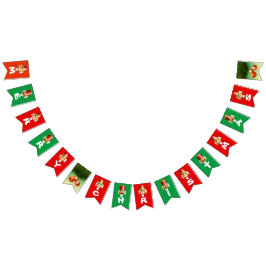 Kundengebundener nussartiger Nussknacker-Cartoon Wimpelkette