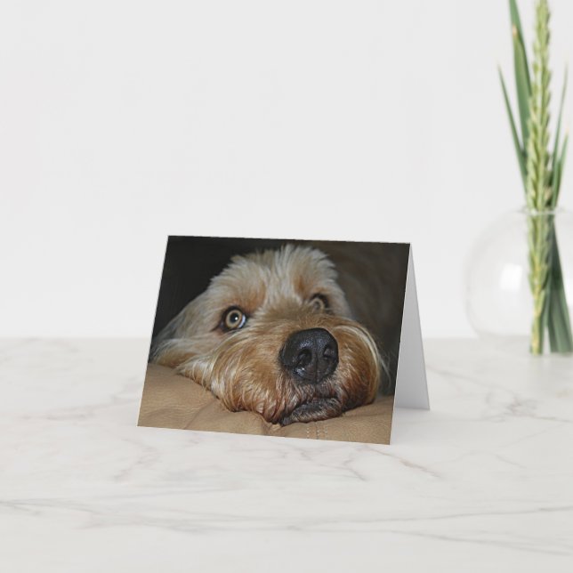 Kundengerechte Anlass-Gruß-Karte Karte (Vorderseite)