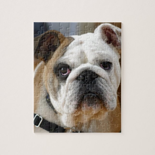 Kundengerechte Bulldogge Puzzle (Vertikal)