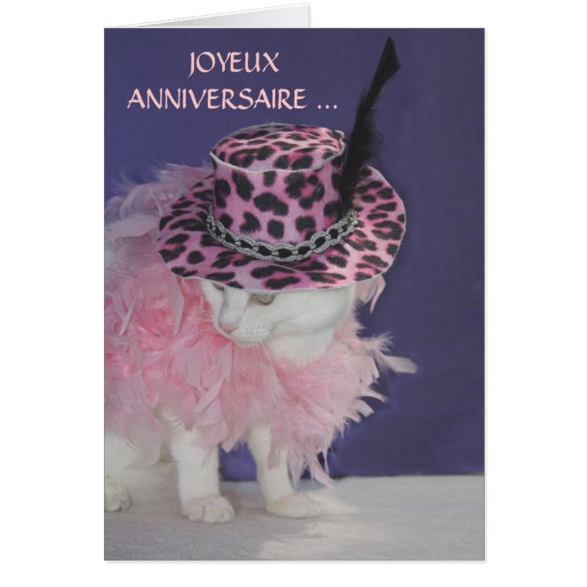 Kundengerechte französische Katze/Miezekatze (Vorne)