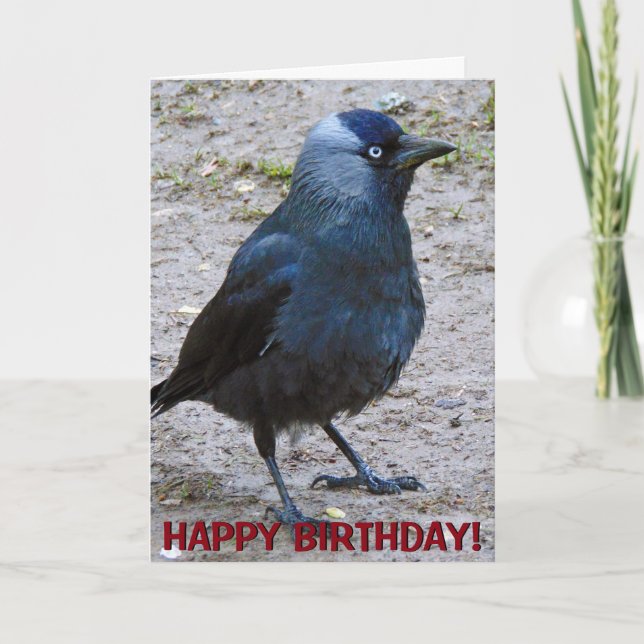 Kundengerechte Grußkarte der Krähe Karte (Vorderseite)