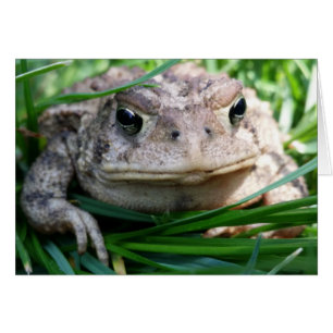 Kundengerechte Krötenkarte