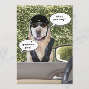 Kundengerechte lustige Abschluss-Party Einladung