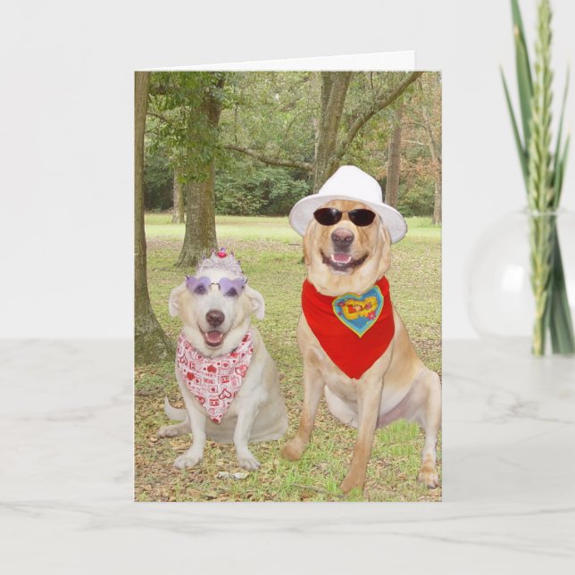 Kundengerechte lustige Hunde Feiertagskarte (Vorderseite)