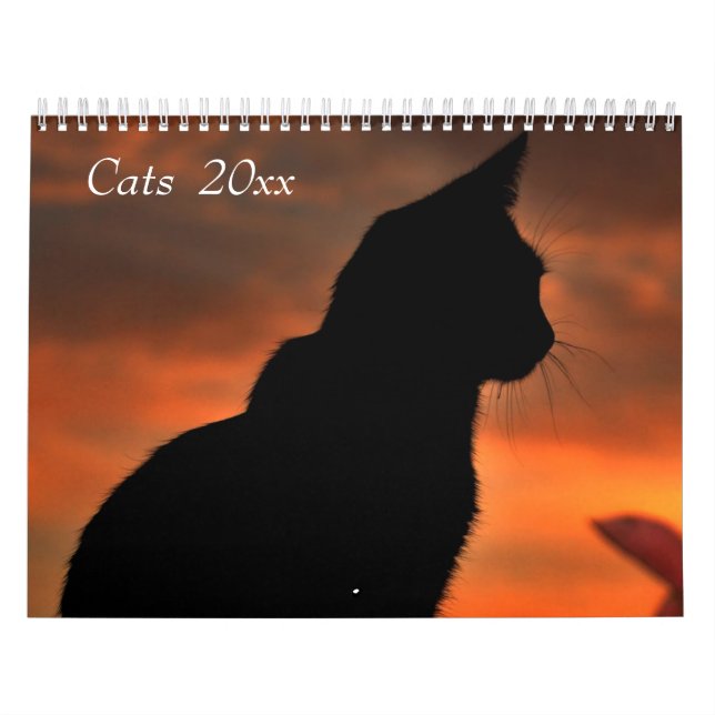 Kundengerechter Katzen-Kalender Kalender (Titelbild)