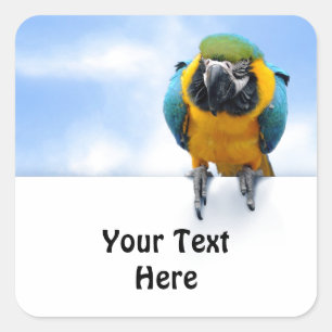 Kundengerechter Macaw Quadratischer Aufkleber