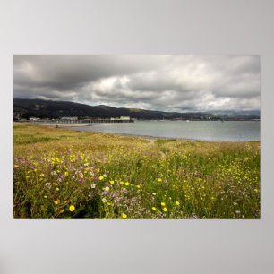 Kundengerechtes Plakat: Half Moon Bay im Frühjahr Poster