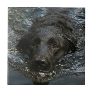 Kundengerechtes schwarzes Labrador retriever Fliese