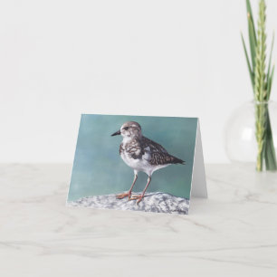 Kundenkarte Plover Shore Bird Karte