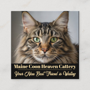 Kundenspezifische Foto Maine Coon Cattery Business Quadratische Visitenkarte