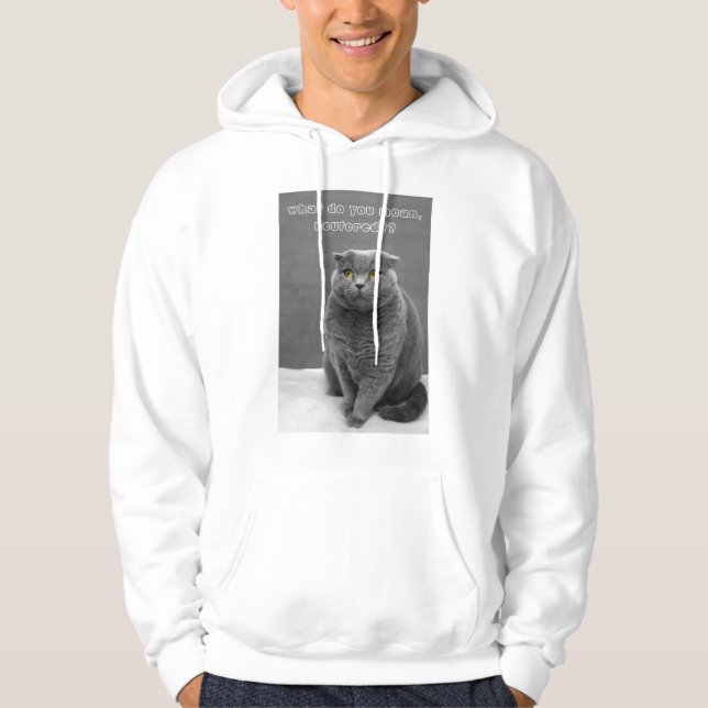 Kundenspezifische Katze Meme lustige Katze Hoodie (Vorderseite)