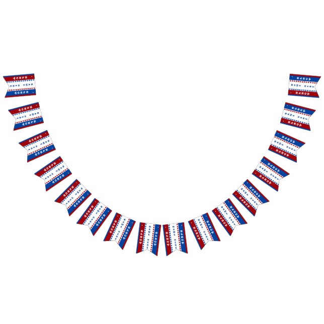 Kundenspezifische Wahl-Fahne Wimpelkette (Alle)