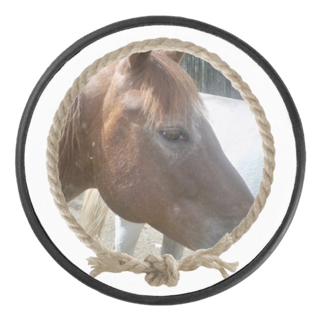 Kundenspezifischer Fotoentwurf des Seil Eishockey Puck (Vorderseite)