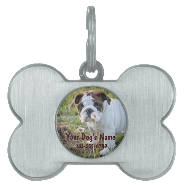 Kundenspezifischer Haustier Identifikations-Umbau Tiermarke (Vorderseite)