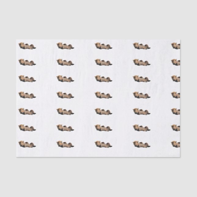 Kundenspezifisches 10lb Seidenpapier, weiß mit Seidenpapier (Vorderseite)