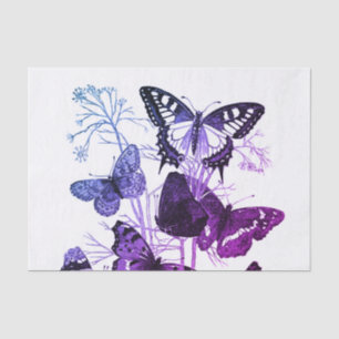 Kundenspezifisches 10lb Seidenpapier, weiße Seidenpapier