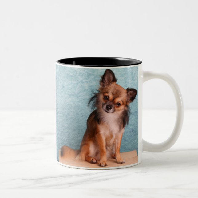 Kundenspezifisches Chihuahua-HundeFoto Zweifarbige Tasse (Rechts)