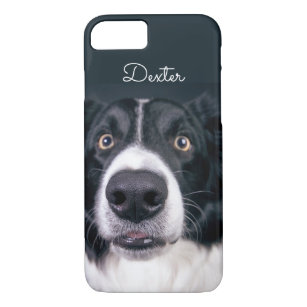 Kundenspezifisches Foto-Grenzcollie-Hundegesicht Case-Mate iPhone Hülle