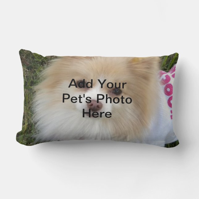 Kundenspezifisches Haustier-Kissen Lendenkissen (Vorderseite)