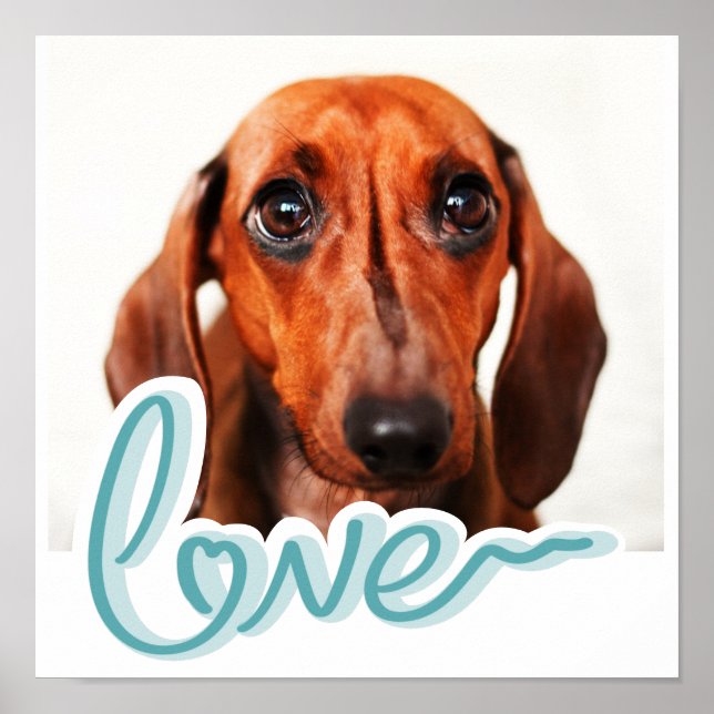 Kundenspezifisches Pet Poster mit moderner Blue Ty (Vorne)