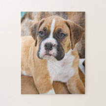 Kundenspezifisches Puzzle-Foto - Boxer-Hundezucht