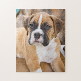 Kundenspezifisches Puzzle-Foto - Boxer-Hundezucht Puzzle