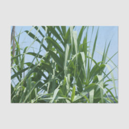 Kundenspezifisches Seidenpapier